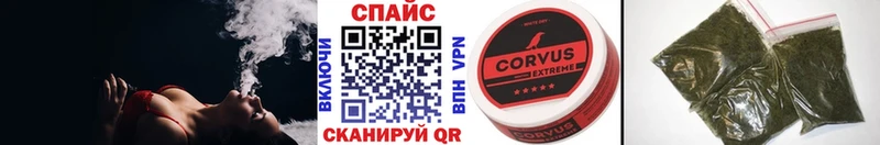 закладки  Дубна  Бутират BDO 