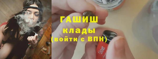 крисы Алзамай