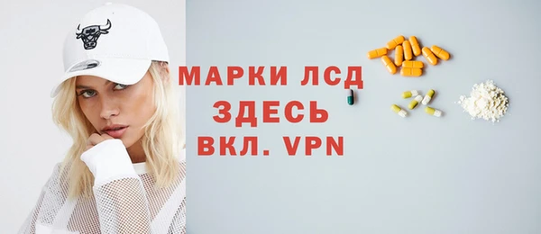 шишки Снежногорск